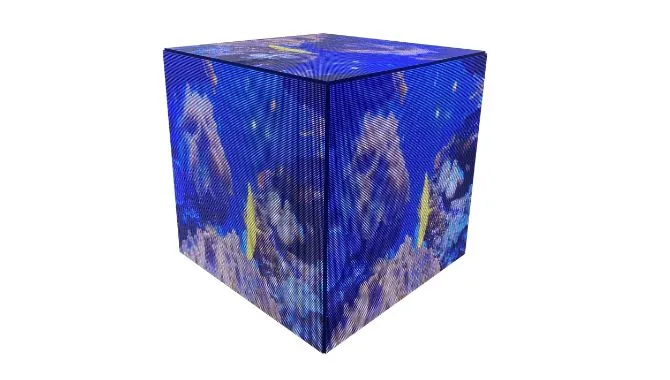 Détail du module LED du CUBIC 320 - P2.5 (5 Faces) (maille et masque)